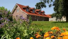 Ferienhaus Lobbe - Apt. 04, Middelhagen